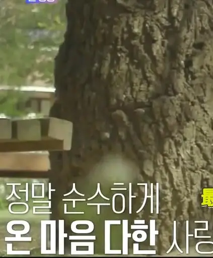 《再次初恋》：重温青涩时光，一场关于爱与错过的浪漫奇遇记